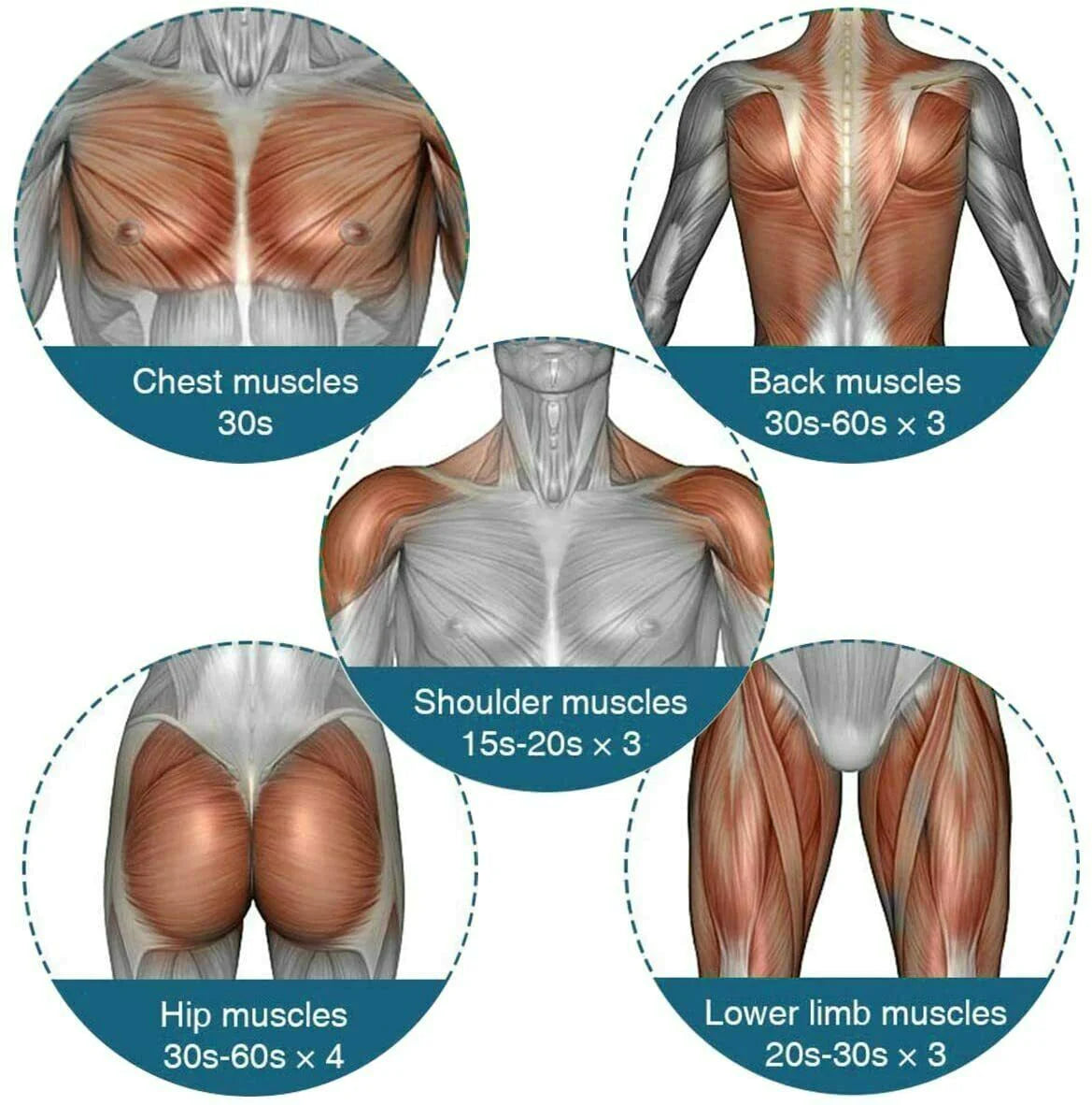 Pistolet de massage à percussion avec 4 têtes